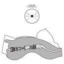 Lovetoy Masturbator Streetgirls 8