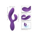 CalExotics Stella C Curve