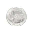 CalExotics Cyclone Dual Ribbed Stroker