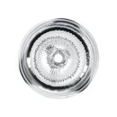 Private Clear Shot Pussy & Ass