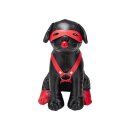 Prowler Booted Up Bandit Lederhund mit rotem Bondage Harness und Augenmaske schwarz