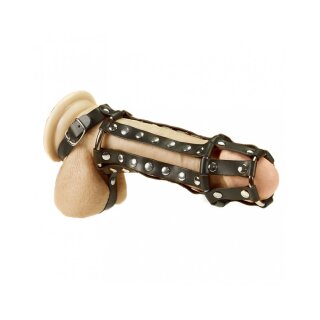 Rimba Penis Harness mit Nägeln und Ballstrap Schwarz S-M 11 cm
