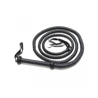 Rimba Arabian bullwhip