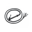 Rimba Arabian bullwhip