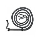 Rimba Arabian bullwhip