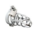 Rimba Penis Cage with Lock Silver 7 cm Ø 5 cm
