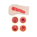 TAMASHII Hentai Girl - Neighbor Girl - Male Masturbator - Nude