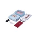 Zalo Fanfan set Blue with remote and app control