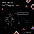 BLOWCAST Wingman Pro Automatischer Masturbator