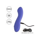 CalExotics Connect Contoured G Purple