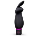 Dream Toys Sex Room Raunchy Kit black
