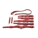 Lovers Restraints Set - Red