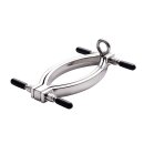 Kiotos Steel Clit Clamp mit Leine Kette