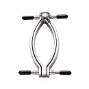 Kiotos Steel Clit Clamp mit Leine Kette