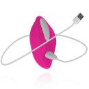 Teazers Mini Vibrator With Remote Control