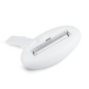 Teazers Mini Vibrator With Remote Control