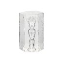 CalExotics Girls Masturbator Farrah Transparent