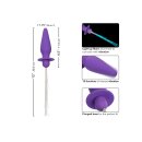 CalExotics Southern Lights Vibrating Light Up Anal Probe Purple