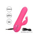 CalExotics California Dreaming Sacramento Sweetie Pink