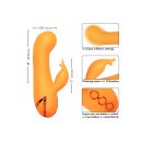 CalExotics California Dreaming Montecito Muse Orange