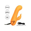 CalExotics California Dreaming Montecito Muse Orange