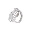 Hidden Desire Extreme Chastity Cock Cage Metal Metal