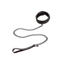 CalExotics Nocturnal Collection Collar & Leash Black