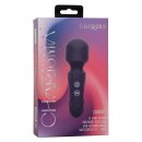 CalExotics Charisma Charm Purple