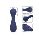 CalExotics Charisma Temptation Purple