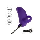CalExotics Envy Handheld Rolling Ball Massager purple