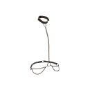 CalExotics Euphoria Collection Plus Size Kettenhalsband...