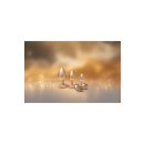Gleaming Love Pearl Gold Plug Large 4,0 cm