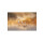 Gleaming Love Pearl Gold Plug Large 4,0 cm