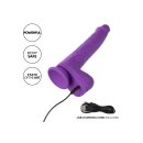 CalExotics Stud Rechargeable Gyrating & Thrusting Purple