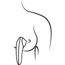 Romp Switch X Orange