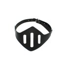 Kiotos Leather Muzzle Mask