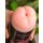 LoveToy Virgin-Skin Blowout Double Side Stroker Vagina and Ass
