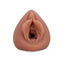 PDX EXTREME SORORITY SNATCH  BROWN