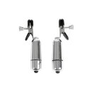 Virgite Nipple Clamps Model 25 Silver 2 Pieces