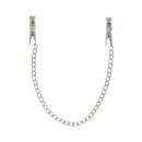 Virgite Nipple Clamps Model 29 Silver 2 Pieces