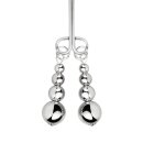Bedroom Fantasies Nipple and Clitoris Clamps Silver