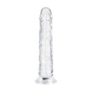 Easy Toys Jelly Dildo without balls 20 cm