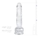 Easy Toys Jelly Dildo with balls 22 cm
