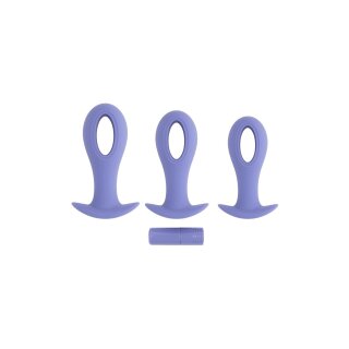 Evolved  Hole Punch Plug Set