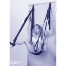 CalExotics Nocturnal Sex Swing Black