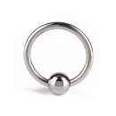 Mr. Steel Ball Closure C-Ring 45 mm Silver