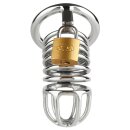 Mr. Steel Ring Master Chastity Device Silver