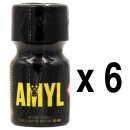 AMYL 10 ml 6-144 Stück