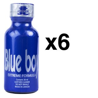 BLUE BOY Extreme 30 ml 6-144 Stück