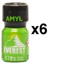 EVEREST GREEN 10 ml 6-144 Stück